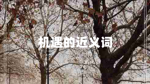 機(jī)遇的近義詞