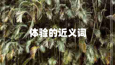 體驗的近義詞