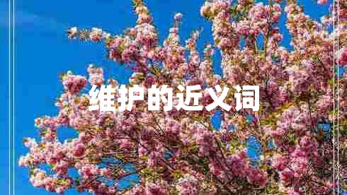 維護的近義詞