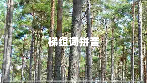 梯組詞拼音
