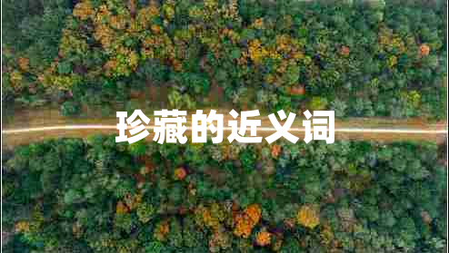 珍藏的近義詞
