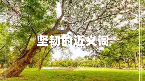 堅韌的近義詞