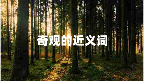 奇觀的近義詞