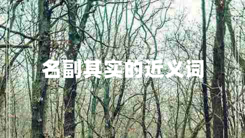 名副其實的近義詞