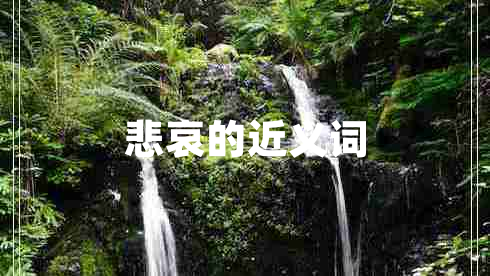 悲哀的近義詞