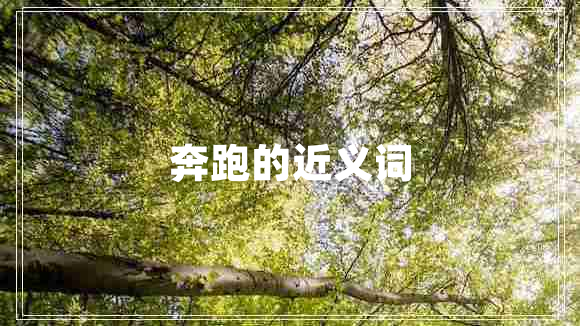 奔跑的近義詞