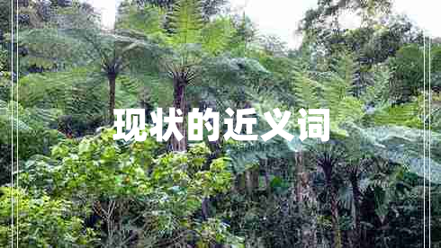 現(xiàn)狀的近義詞
