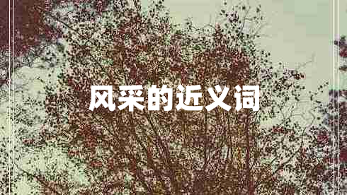 風采的近義詞