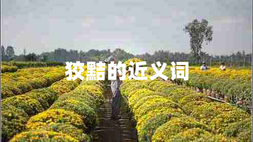 狡黠的近義詞