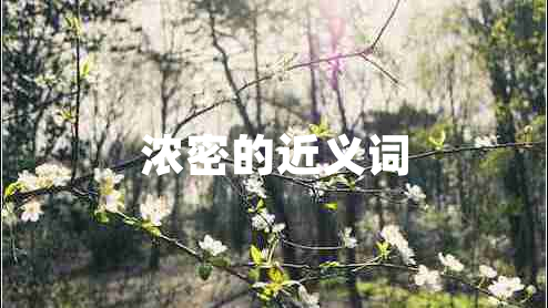 濃密的近義詞