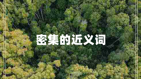 密集的近義詞