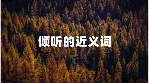 傾聽的近義詞