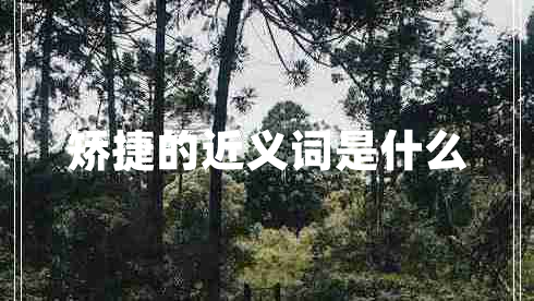 矯捷的近義詞是什么