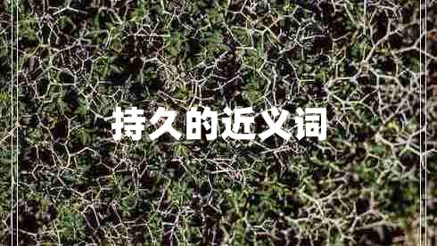 持久的近義詞