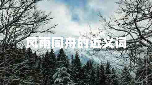 風雨同舟的近義詞