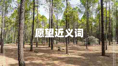 愿望近義詞