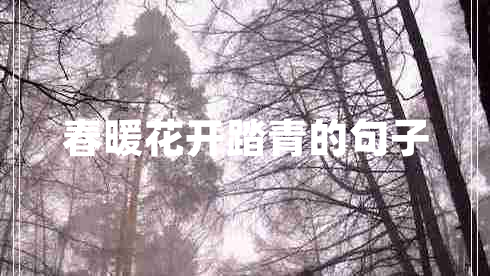 春暖花開(kāi)踏青的句子