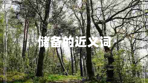 儲備的近義詞