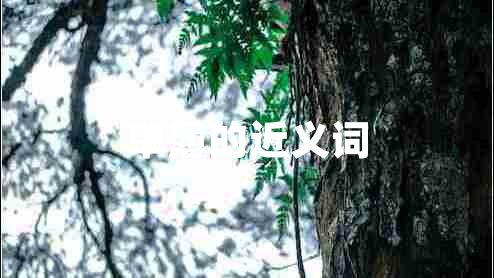 單薄的近義詞