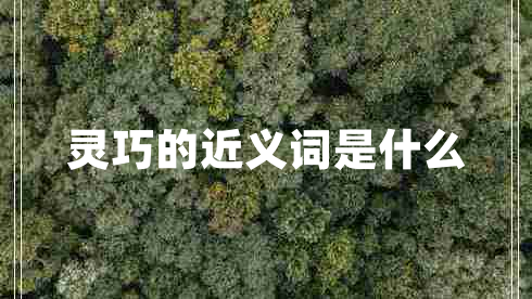 靈巧的近義詞是什么