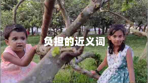 負擔的近義詞