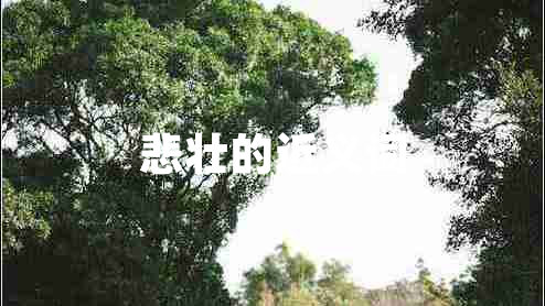 悲壯的近義詞