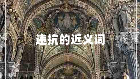 違抗的近義詞