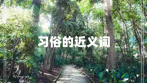 習俗的近義詞