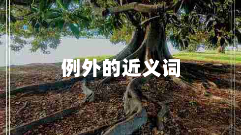 例外的近義詞