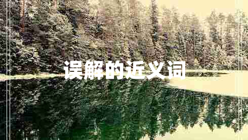 誤解的近義詞