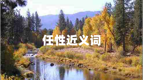 任性近義詞