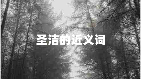 圣潔的近義詞