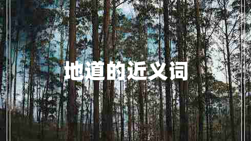 地道的近義詞