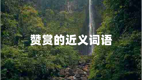 贊賞的近義詞語