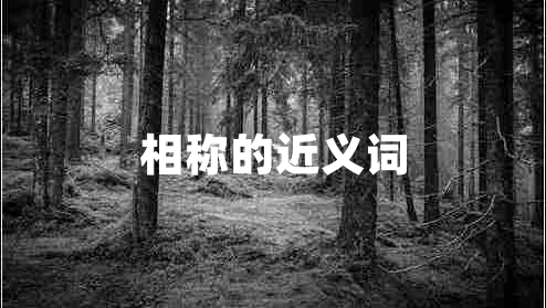 相稱的近義詞