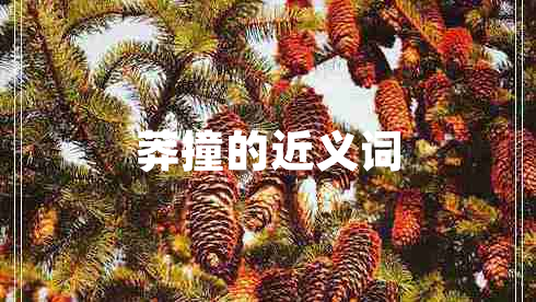 莽撞的近義詞