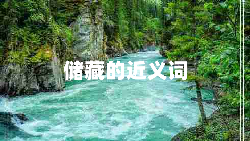 儲藏的近義詞