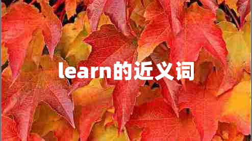 learn的近義詞