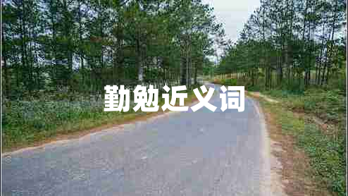 勤勉近義詞