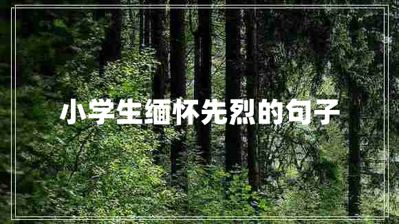小學生緬懷先烈的句子