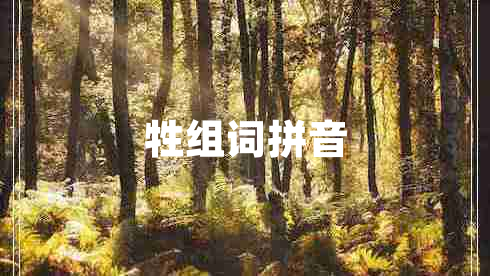 牲組詞拼音