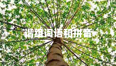 諧組詞語和拼音