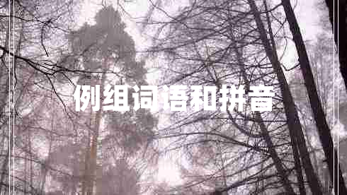 例組詞語(yǔ)和拼音