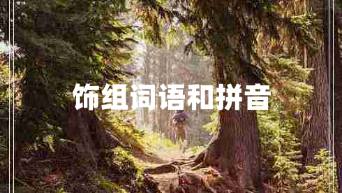 飾組詞語(yǔ)和拼音