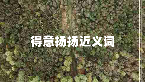 得意揚(yáng)揚(yáng)近義詞