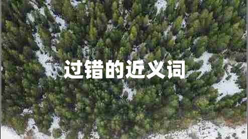 過錯的近義詞