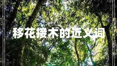 移花接木的近義詞