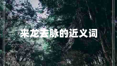 來(lái)龍去脈的近義詞