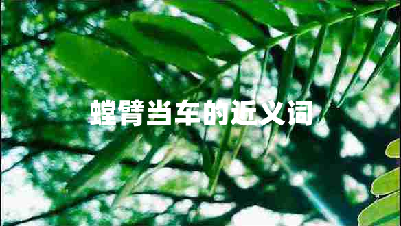 螳臂當(dāng)車的近義詞