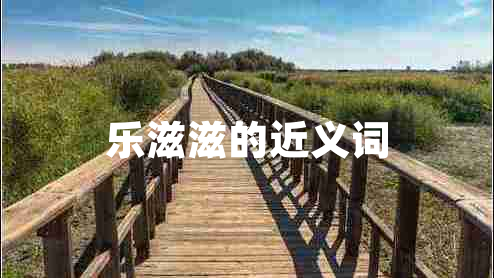 樂滋滋的近義詞